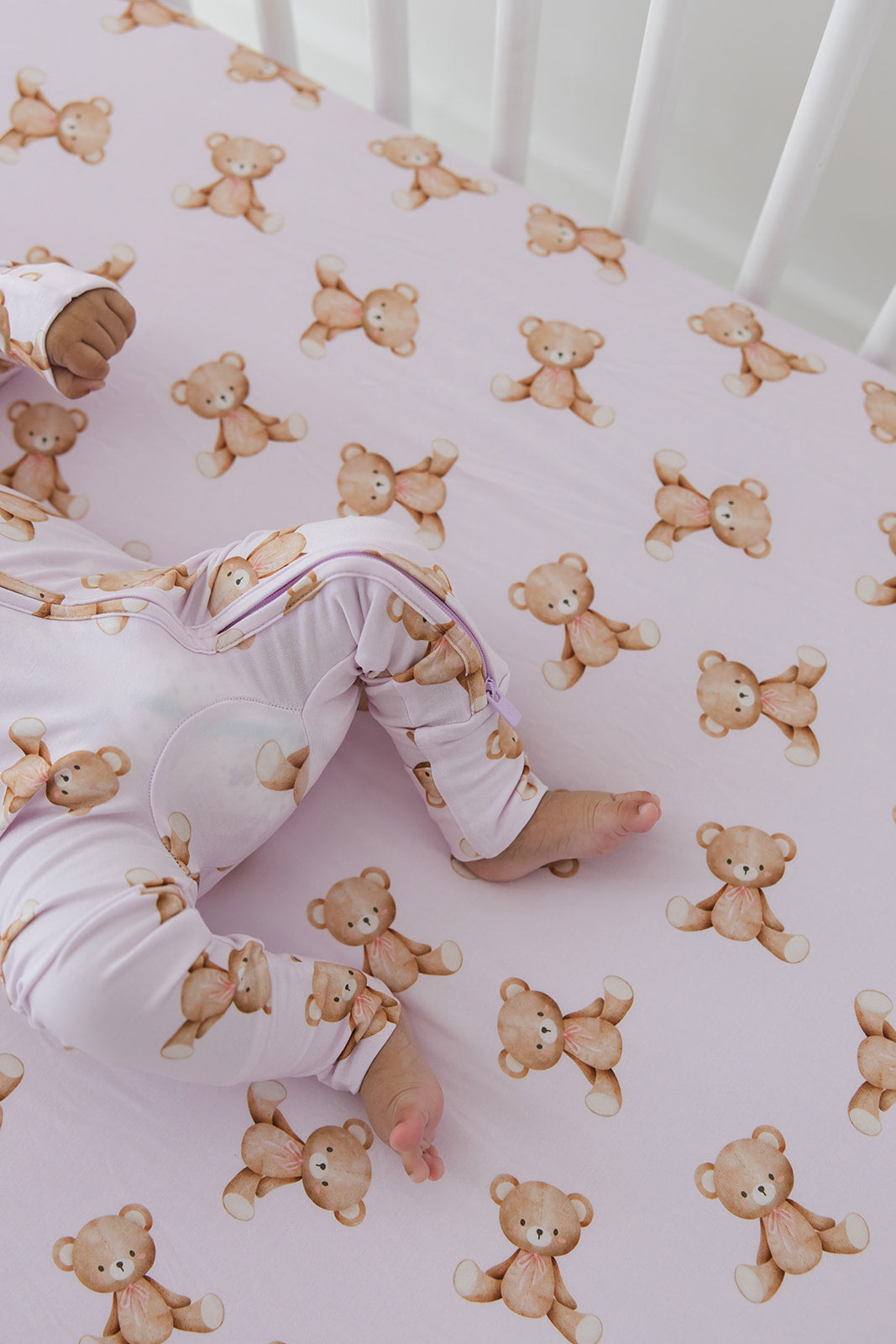 Teddy - Zippy